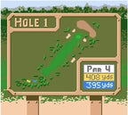 Tiger Woods PGA Tour 2000