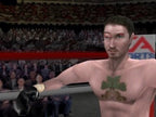 Box Champions / Knockout Kings 2001