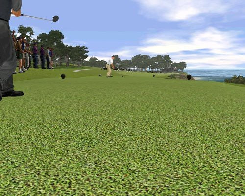 Tiger Woods PGA Tour 02