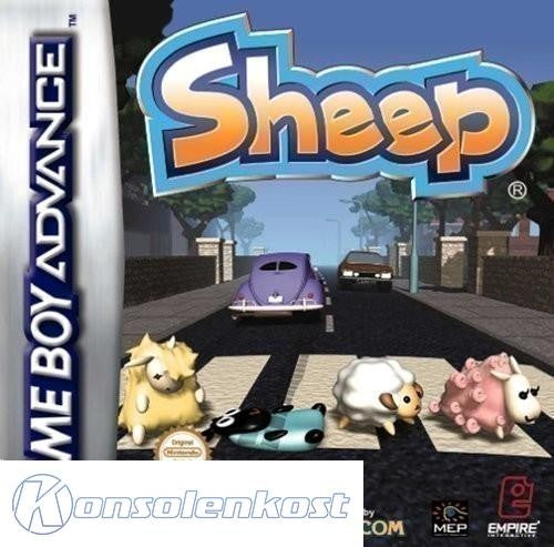 Sheep