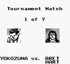 WWF King of the Ring