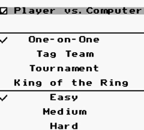 WWF King of the Ring