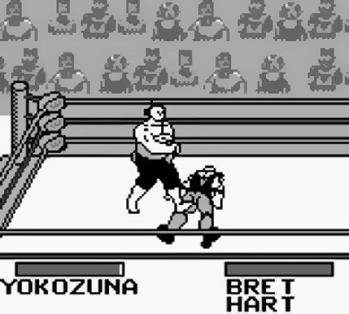 WWF King of the Ring