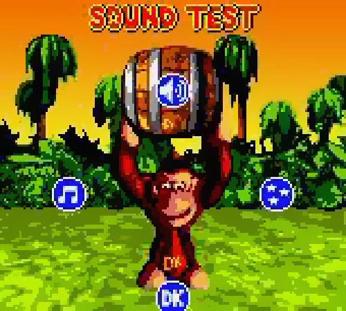 Donkey Kong Country