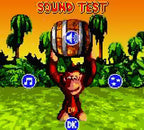Donkey Kong Country