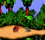 Donkey Kong Country