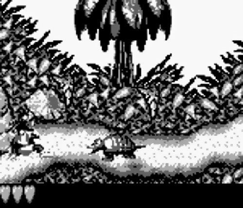 Donkey Kong Land 1
