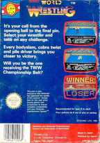 Tecmo World Wrestling