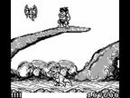 Joe & Mac: Caveman Ninja
