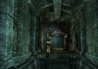 Lara Croft Tomb Raider: Legend (DE)