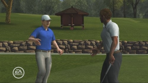 Tiger Woods: PGA Tour 09 (DE)