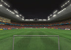 UEFA Euro 08 (DE)