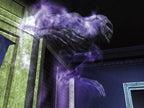 Ghosthunter (DE)