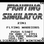 Fighting Simulator 2 in 1 Flying Warriors