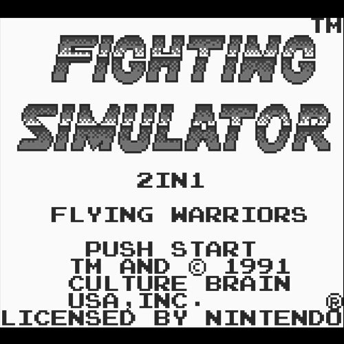 Fighting Simulator 2 in 1 Flying Warriors