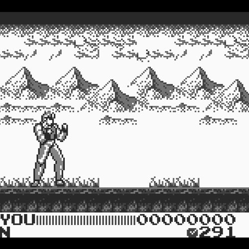 Fighting Simulator 2 in 1 Flying Warriors