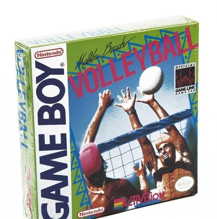 Malibu Beach Volleyball (US)