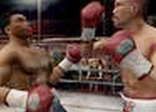 EA Sports: Fight Night Round 2 (DE)