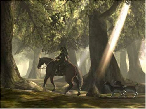 Legend of Zelda: Twilight Princess (DE)