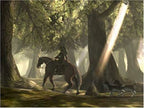 Legend of Zelda: Twilight Princess (DE)