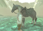 Legend of Zelda: Twilight Princess (DE)