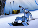 RTL Winter Sports 2009: The Next Challenge (DE)