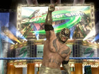 WWE SmackDown vs. RAW 2010 (DE)