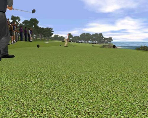 Tiger Woods PGA Tour 2003 (DE)