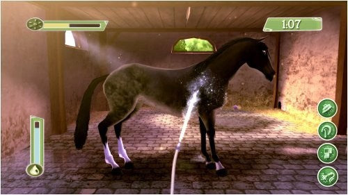 Pippa Funnell: Ranch Rescue (GB)
