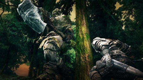 Dark Souls (DE)