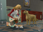Die Sims 4er Pack 5
