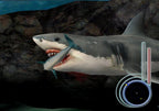 Der weiße Hai: Das Spiel / Jaws Unleashed (DE)