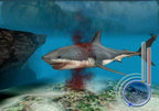 Der weiße Hai: Das Spiel / Jaws Unleashed (DE)