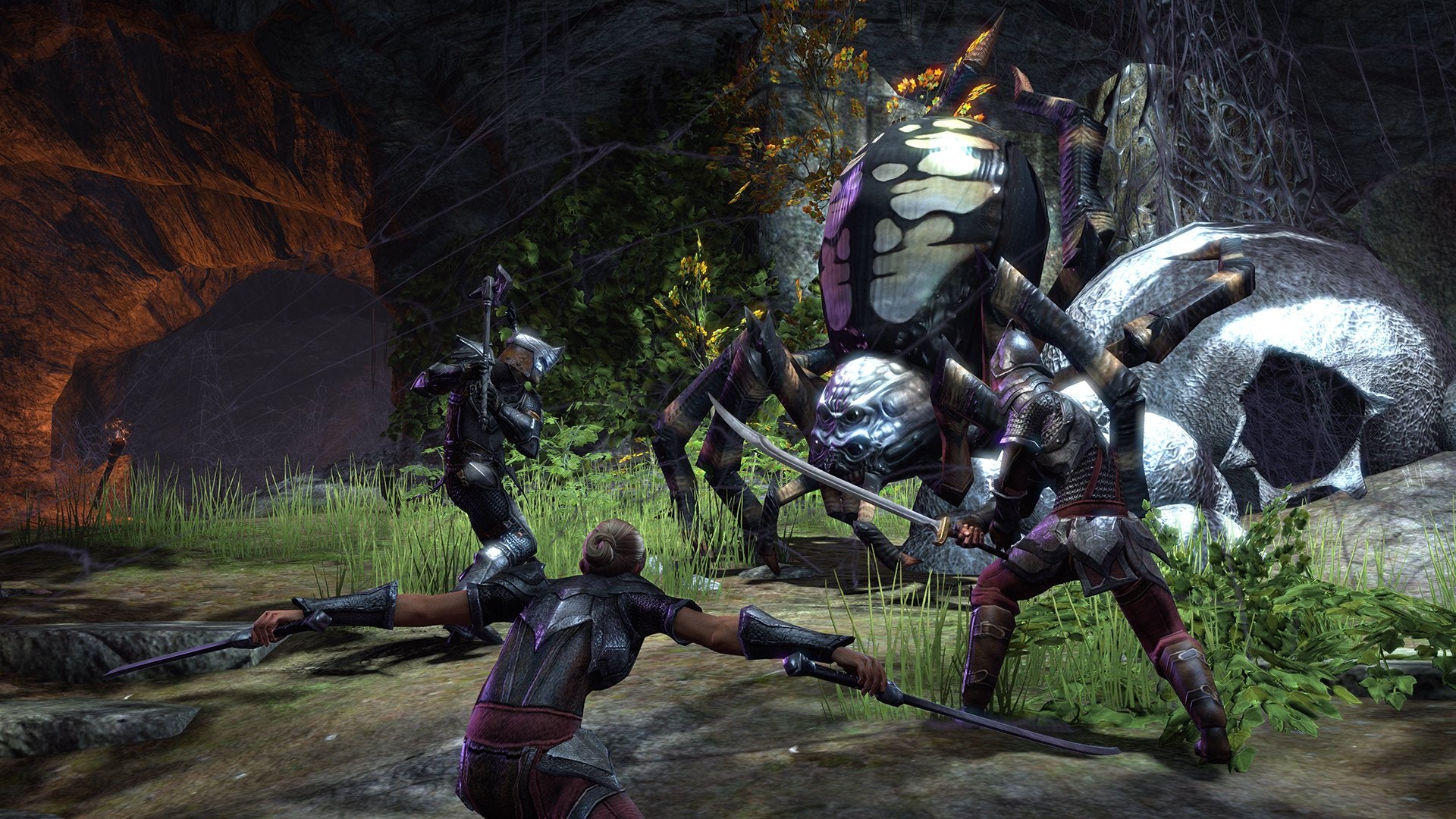 The Elder Scrolls Online: Tamriel Unlimited (FR)