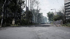 Chernoblyte (DE)