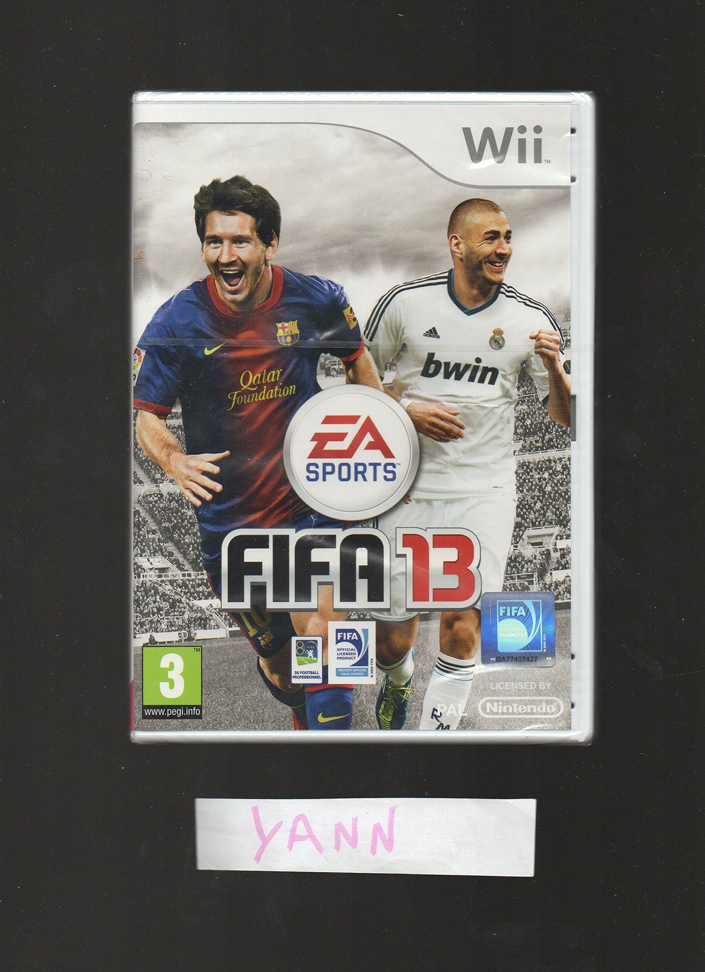 FIFA 13 (FR)
