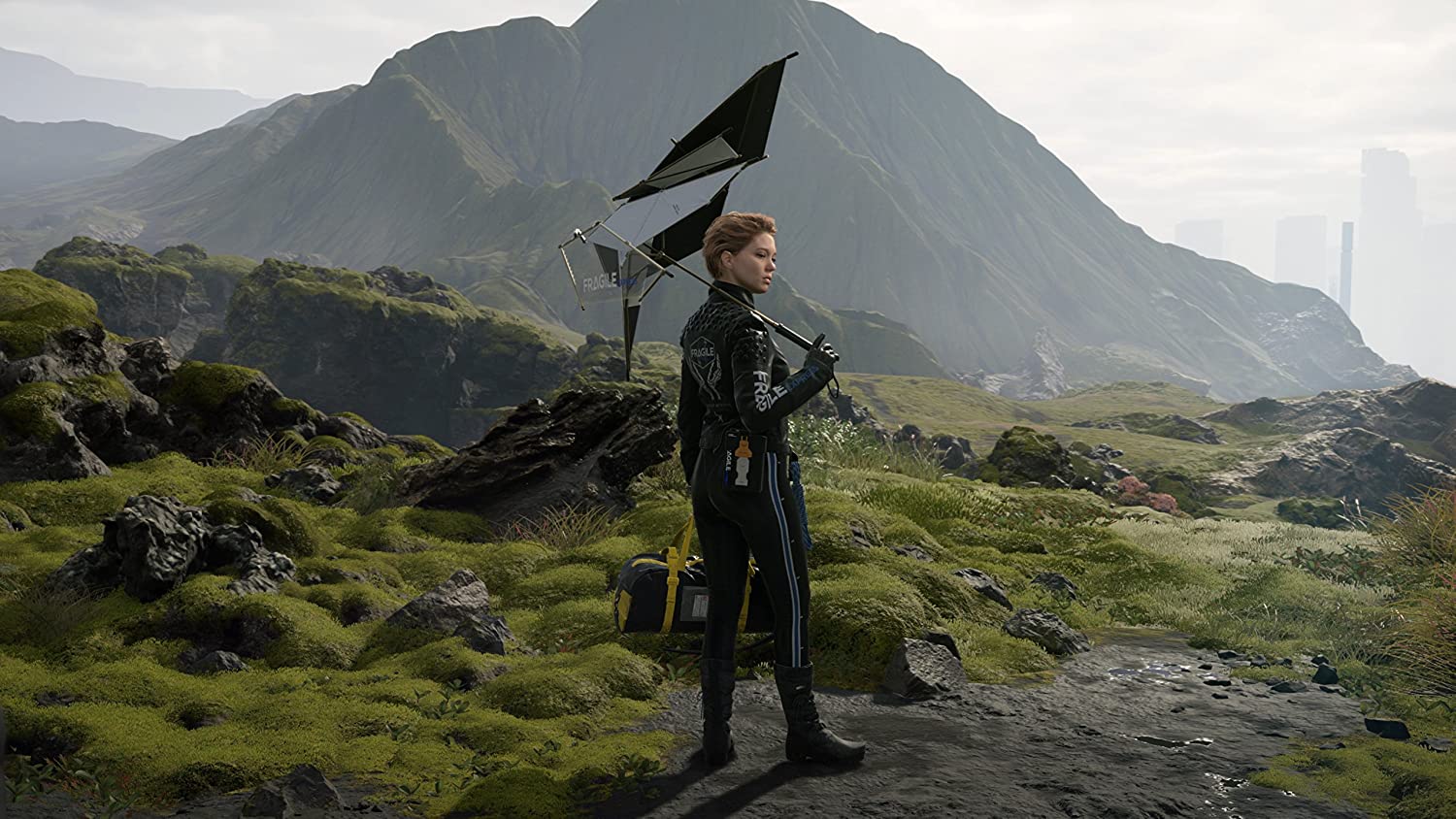 Death Stranding (DE) — Director's Cut