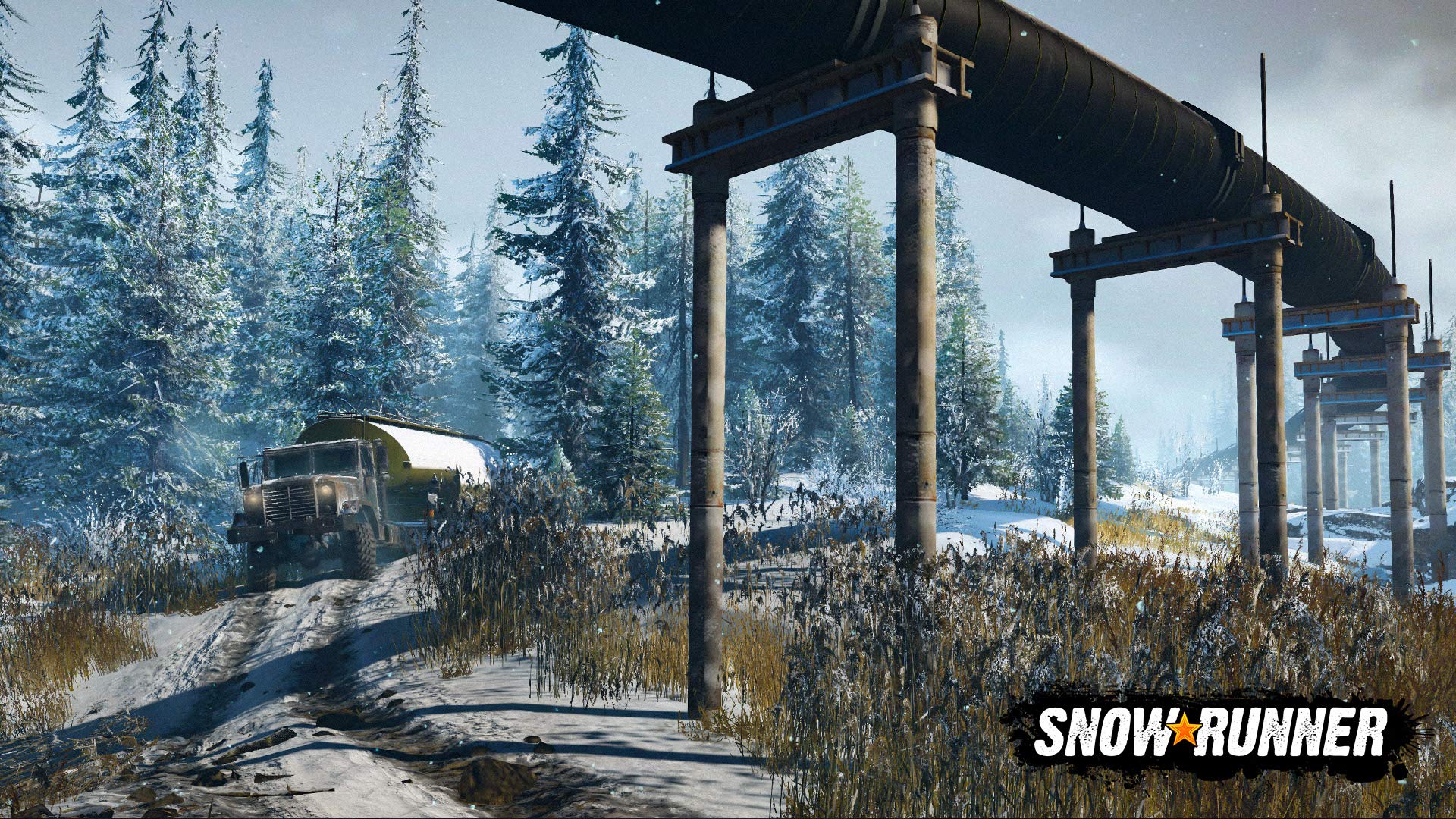 Snowrunner (US)