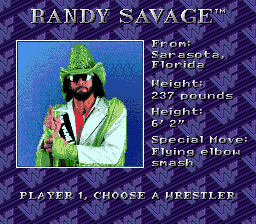 WWF Royal Rumble (US)