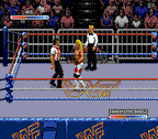 WWF Royal Rumble (US)