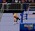 WWF Royal Rumble (US)