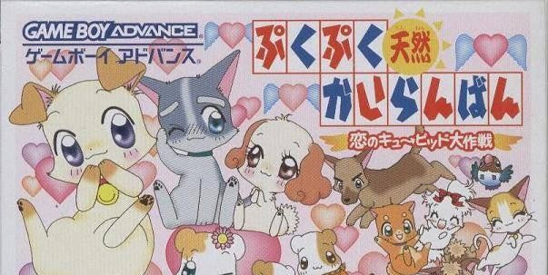 PukuPuku Tennen Kairanban: Koi no Cupid Daisakusen (JP)