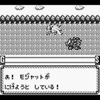 Monster * Race Okawari (JP)