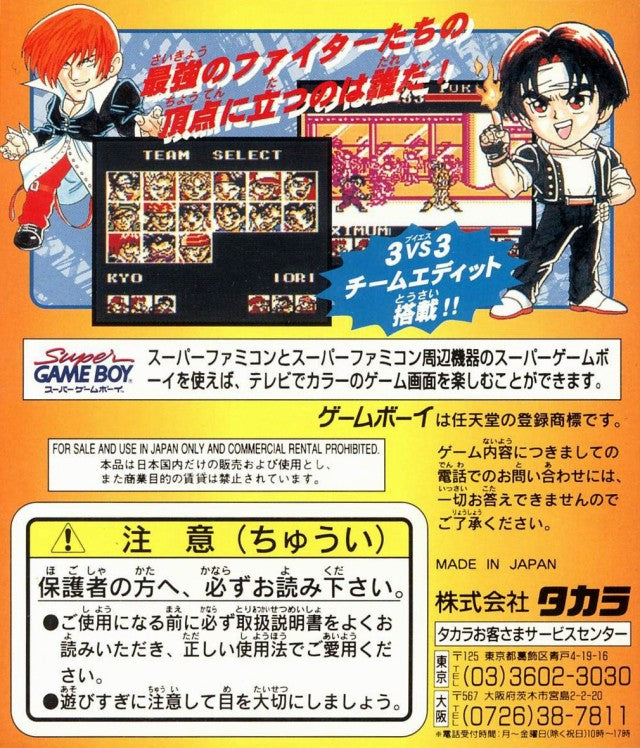 Nettou The King of Fighters '95 (JP)