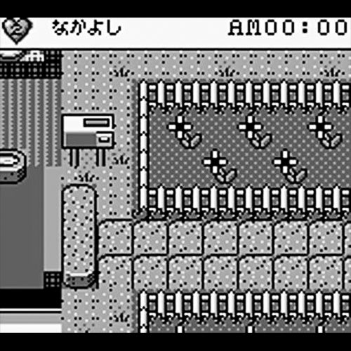 Pocket Family GB (JP)