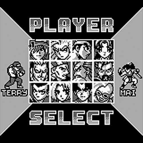 Nettou Real Bout Garou Densetsu Special (JP)