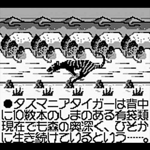Tasmania Monogatari (JP)