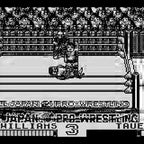 Zen-Nippon Pro Wrestling Jet (JP)