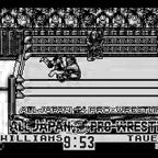 Zen-Nippon Pro Wrestling Jet (JP)