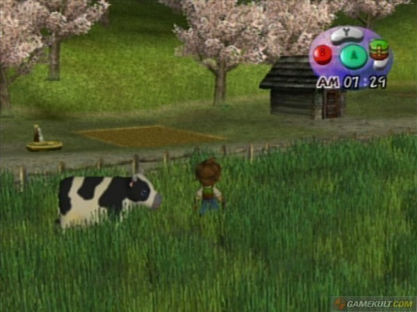 Harvest Moon: A Wonderful Life